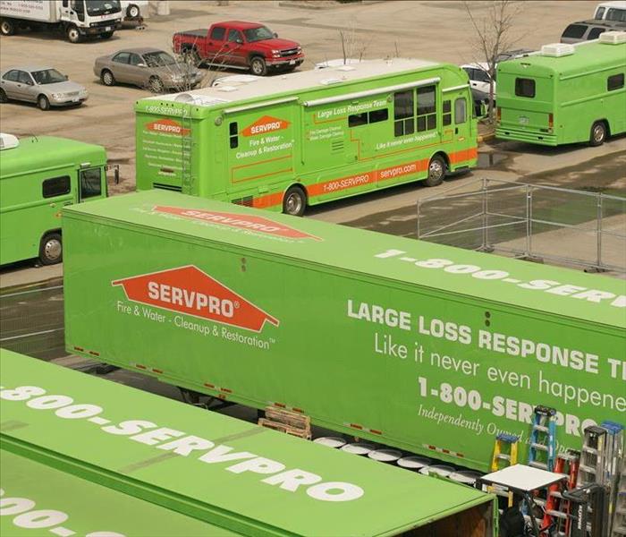 SERVPRO tractor trailers & trucks lined up in a parking lot.